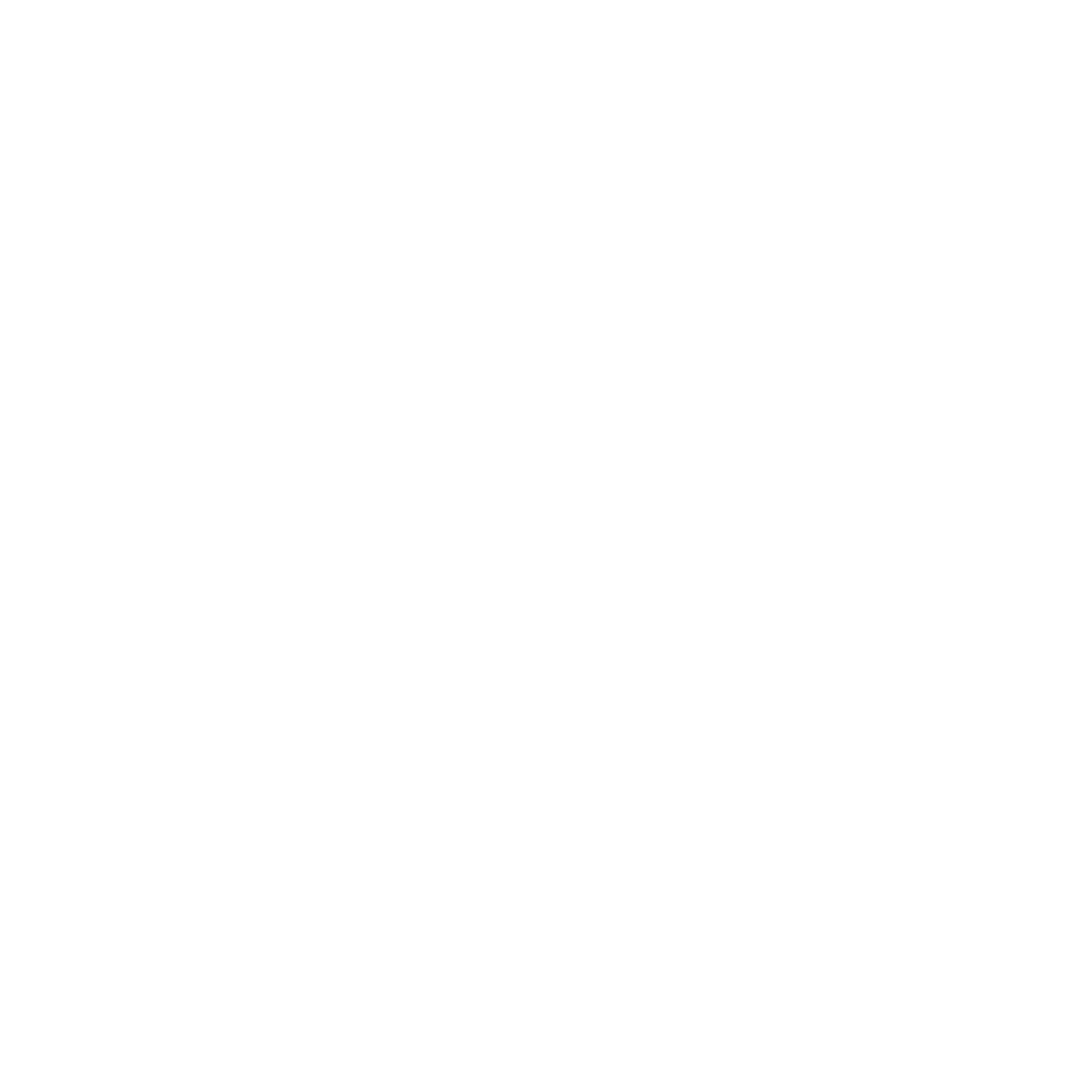 Escudos MonoCromo Blanco WP Iruña Escudos MonoCromo Blanco WP Iruña